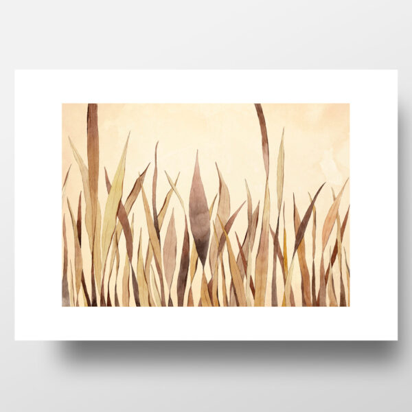 Dry Brown Reeds In Watercolors