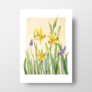 Spring Daffodils Watercolor Art Print