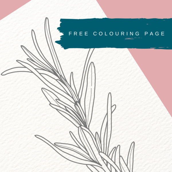 Tracing Page. July Freebie Rosemary