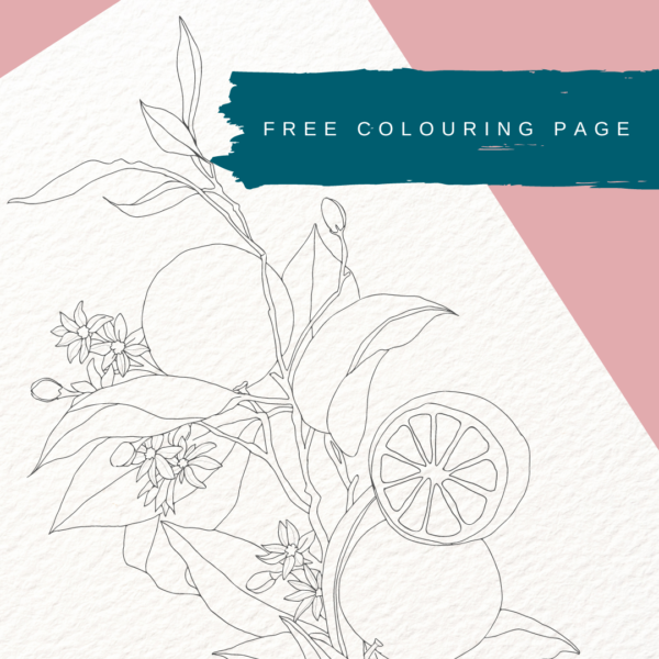 Tracing Page. August Freebie Oranges